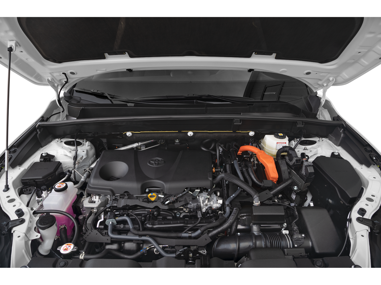 2023 Toyota Venza Limited photo 3