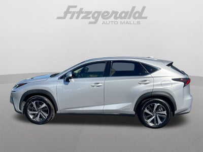 2019 Lexus NX 300h